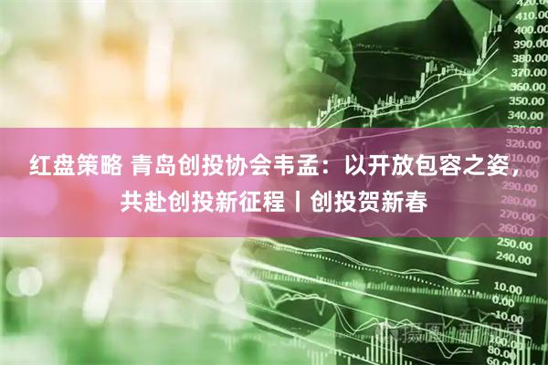 红盘策略 青岛创投协会韦孟：以开放包容之姿，共赴创投新征程丨创投贺新春