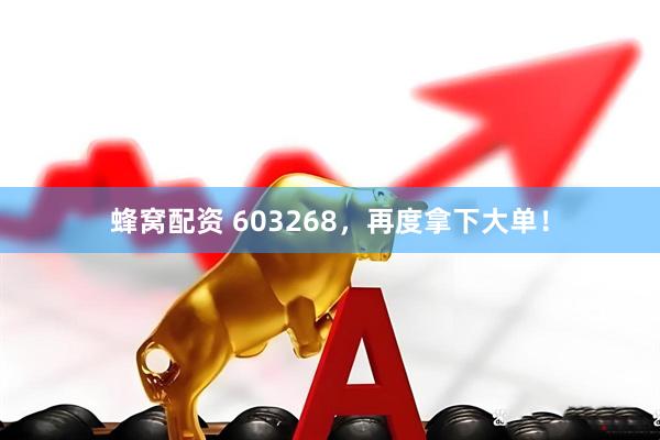 蜂窝配资 603268，再度拿下大单！