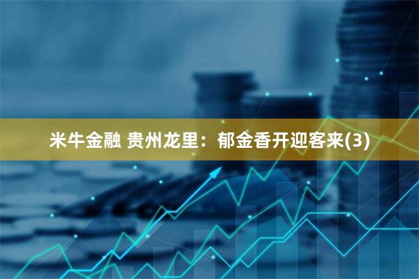 米牛金融 贵州龙里：郁金香开迎客来(3)