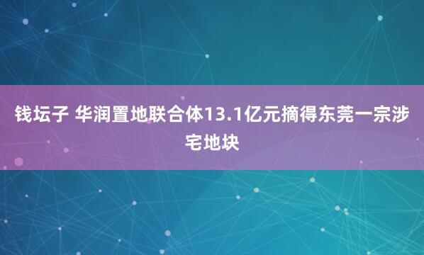 钱坛子 华润置地联合体13.1亿元摘得东莞一宗涉宅地块