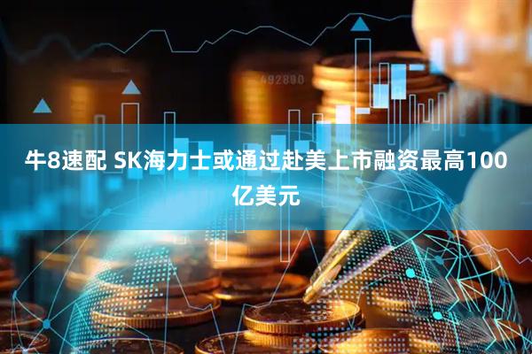 牛8速配 SK海力士或通过赴美上市融资最高100亿美元