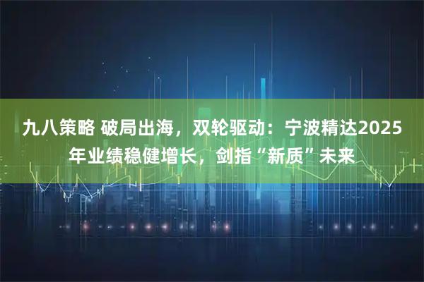 九八策略 破局出海，双轮驱动：宁波精达2025年业绩稳健增长，剑指“新质”未来
