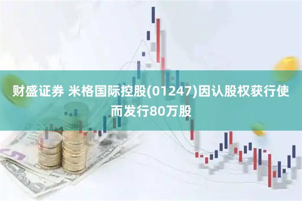 财盛证券 米格国际控股(01247)因认股权获行使而发行80万股