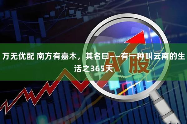 万无优配 南方有嘉木，其名曰——有一种叫云南的生活之365天