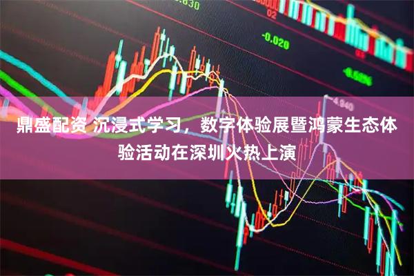 鼎盛配资 沉浸式学习，数字体验展暨鸿蒙生态体验活动在深圳火热上演