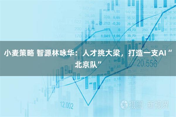 小麦策略 智源林咏华：人才挑大梁，打造一支AI“北京队”