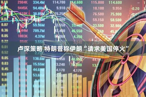 卢深策略 特朗普称伊朗“请求美国停火”