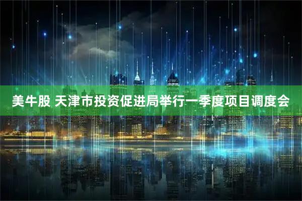美牛股 天津市投资促进局举行一季度项目调度会