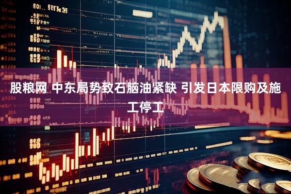 股粮网 中东局势致石脑油紧缺 引发日本限购及施工停工