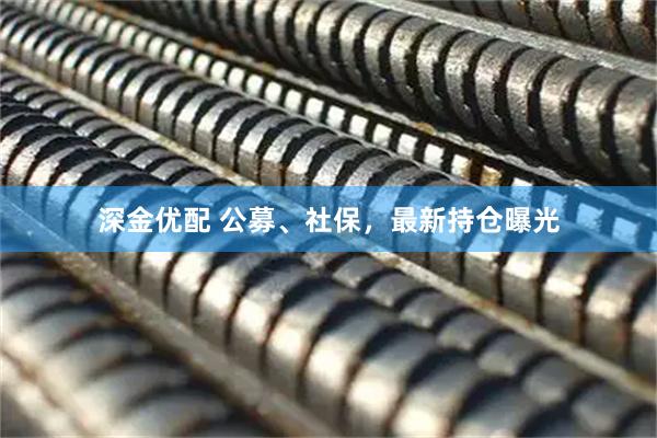 深金优配 公募、社保，最新持仓曝光