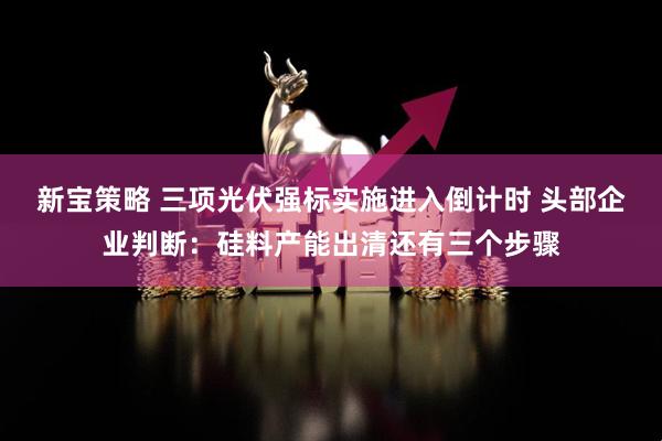 新宝策略 三项光伏强标实施进入倒计时 头部企业判断:硅料产能出清还有三个步骤