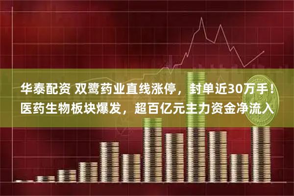 华泰配资 双鹭药业直线涨停,封单近30万手!医药生物板块爆发,超百亿元主力资金净流入