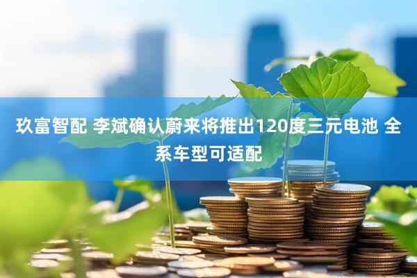 玖富智配 李斌确认蔚来将推出120度三元电池 全系车型可适配