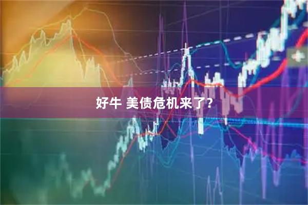 好牛 美债危机来了？